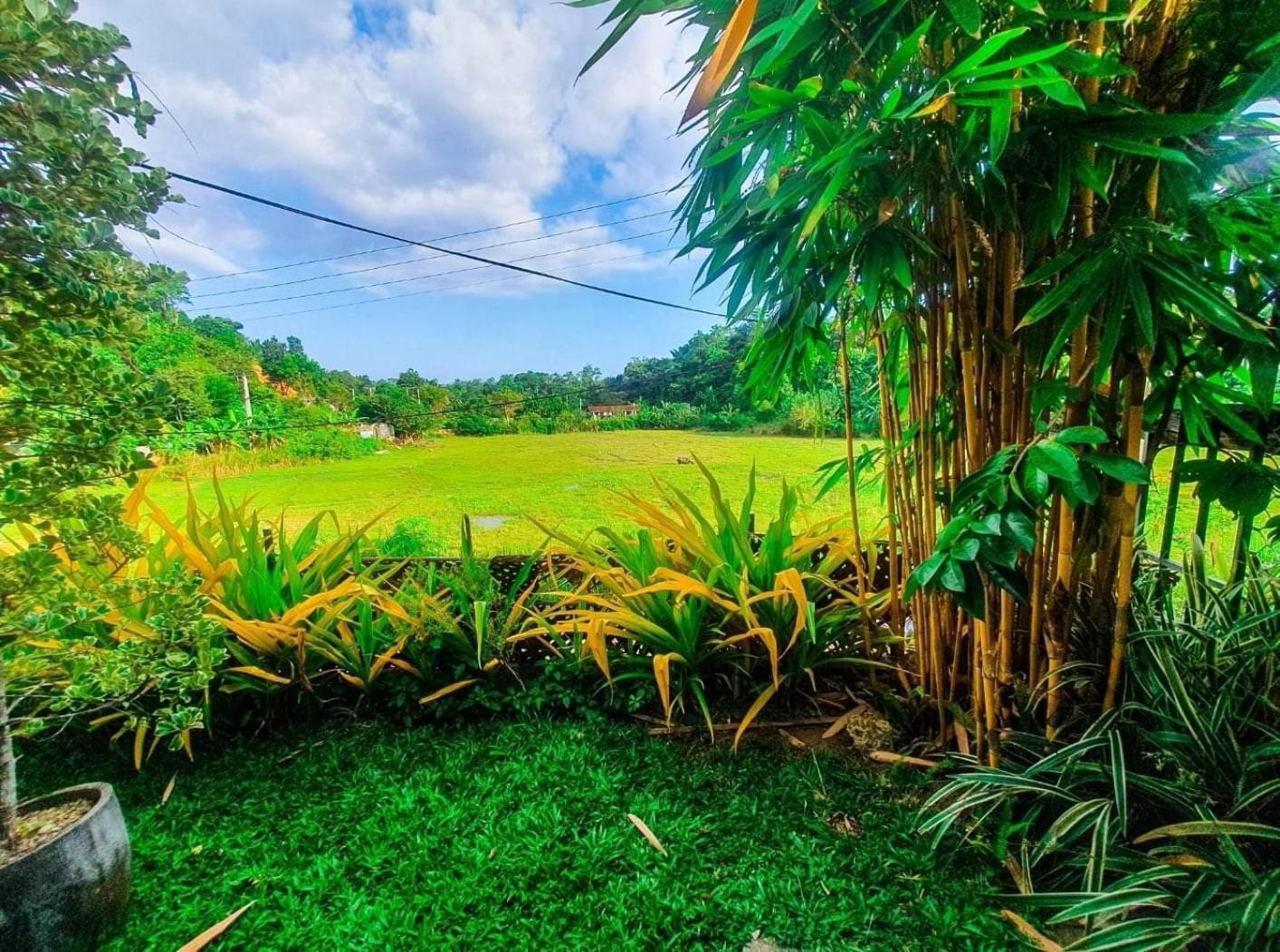 Villa Kubura Mirissa Exterior photo